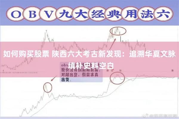 如何购买股票 陕西六大考古新发现：追溯华夏文脉 填补史料空白