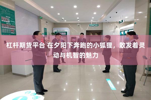 杠杆期货平台 在夕阳下奔跑的小狐狸，散发着灵动与机智的魅力
