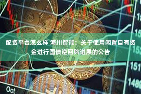 配资平台怎么样 海川智能：关于使用闲置自有资金进行国债逆回购进展的公告