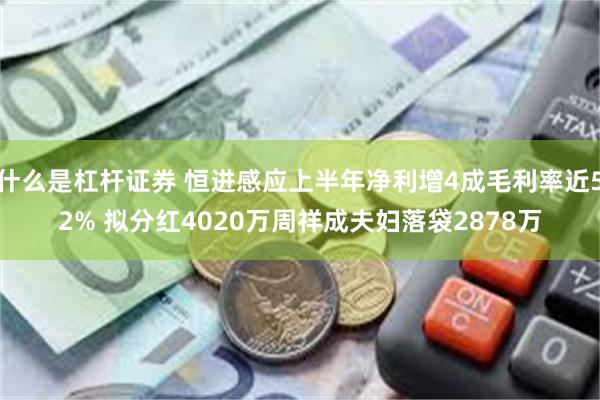 什么是杠杆证券 恒进感应上半年净利增4成毛利率近52% 拟分红4020万周祥成夫妇落袋2878万