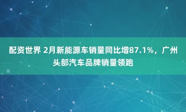 配资世界 2月新能源车销量同比增87.1%，广州头部汽车品牌销量领跑