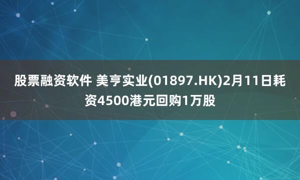 股票融资软件 美亨实业(01897.HK)2月11日耗资4500港元回购1万股