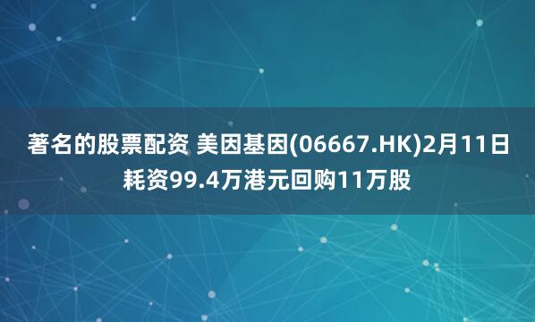 著名的股票配资 美因基因(06667.HK)2月11日耗资99.4万港元回购11万股
