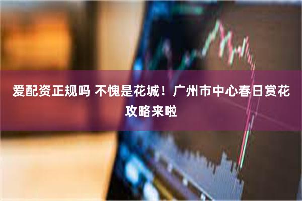 爱配资正规吗 不愧是花城！广州市中心春日赏花攻略来啦