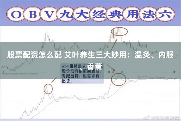 股票配资怎么配 艾叶养生三大妙用：温灸、内服、香薰