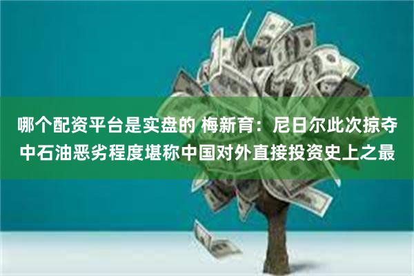 哪个配资平台是实盘的 梅新育：尼日尔此次掠夺中石油恶劣程度堪称中国对外直接投资史上之最