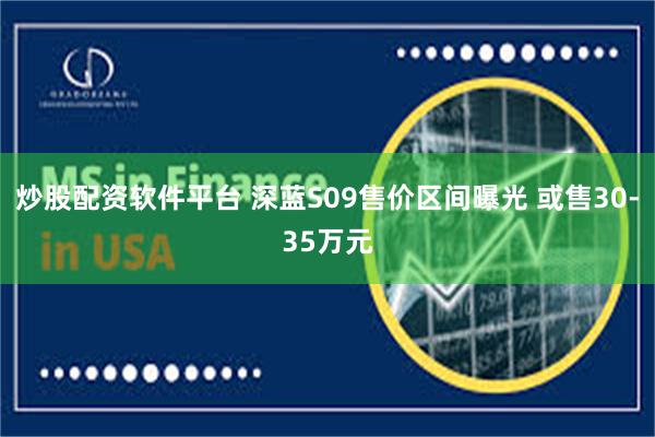 炒股配资软件平台 深蓝S09售价区间曝光 或售30-35万元