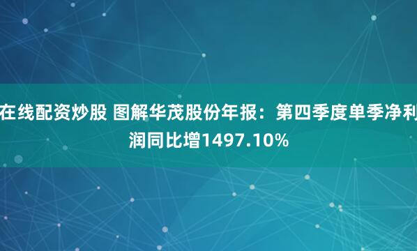 在线配资炒股 图解华茂股份年报：第四季度单季净利润同比增1497.10%