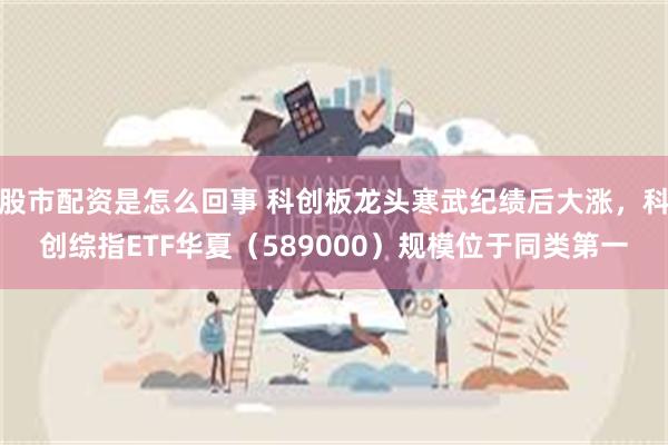 股市配资是怎么回事 科创板龙头寒武纪绩后大涨，科创综指ETF华夏（589000）规模位于同类第一