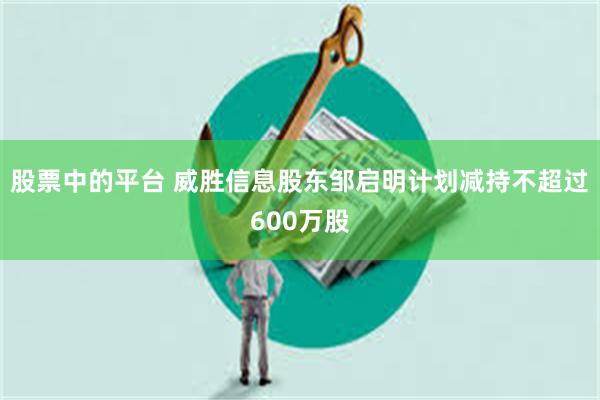 股票中的平台 威胜信息股东邹启明计划减持不超过600万股