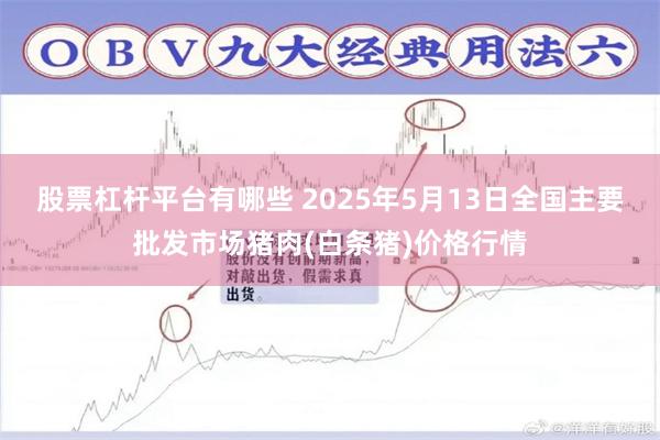 股票杠杆平台有哪些 2025年5月13日全国主要批发市场猪肉(白条猪)价格行情