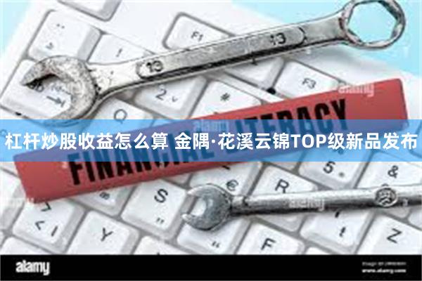 杠杆炒股收益怎么算 金隅·花溪云锦TOP级新品发布