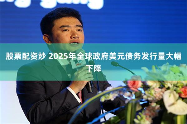 股票配资炒 2025年全球政府美元债务发行量大幅下降