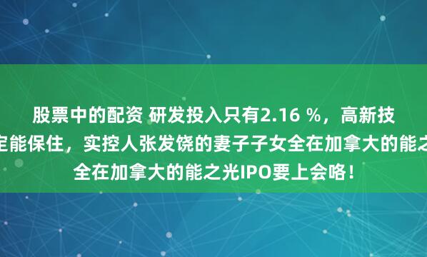 股票中的配资 研发投入只有2.16 %，高新技术企业称号不一定能保住，实控人张发饶的妻子子女全在加拿大的能之光IPO要上会咯！