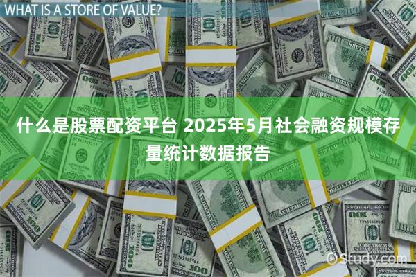 什么是股票配资平台 2025年5月社会融资规模存量统计数据报告