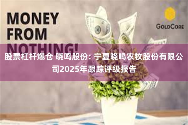 股票杠杆爆仓 晓鸣股份: 宁夏晓鸣农牧股份有限公司2025年跟踪评级报告