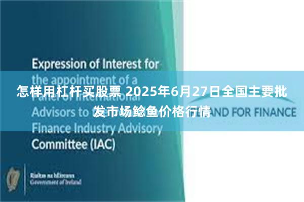 怎样用杠杆买股票 2025年6月27日全国主要批发市场鲶鱼价格行情