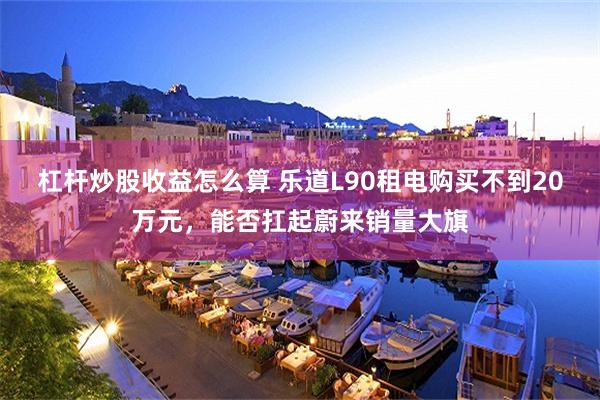 杠杆炒股收益怎么算 乐道L90租电购买不到20万元，能否扛起蔚来销量大旗