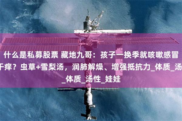 什么是私募股票 藏地九哥：孩子一换季就咳嗽感冒、喉咙干痒？虫草+雪梨汤，润肺解燥、增强抵抗力_体质_汤性_娃娃