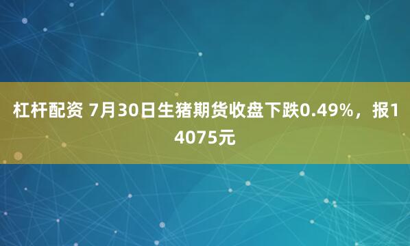 杠杆配资 7月30日生猪期货收盘下跌0.49%，报14075元