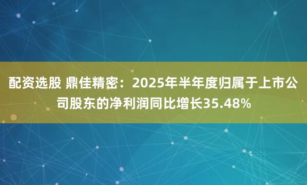 配资选股 鼎佳精密：2025年半年度归属于上市公司股东的净利润同比增长35.48%