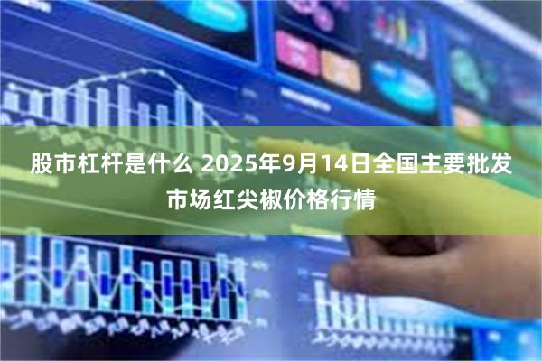 股市杠杆是什么 2025年9月14日全国主要批发市场红尖椒价格行情