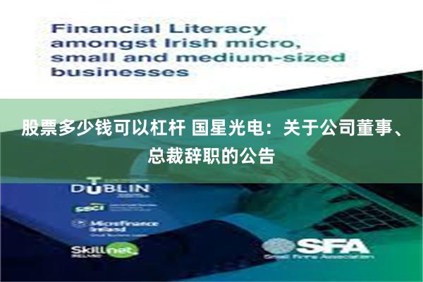 股票多少钱可以杠杆 国星光电:关于公司董事、总裁辞职的公告